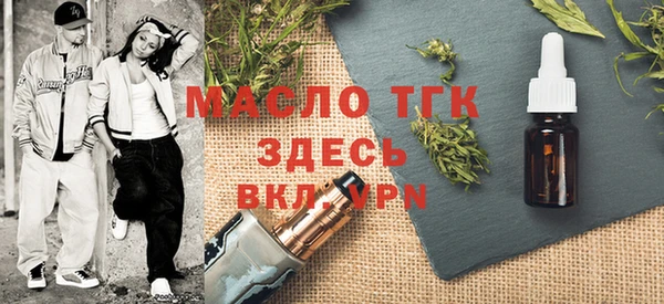 тгк Абаза