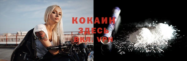 тгк Абаза
